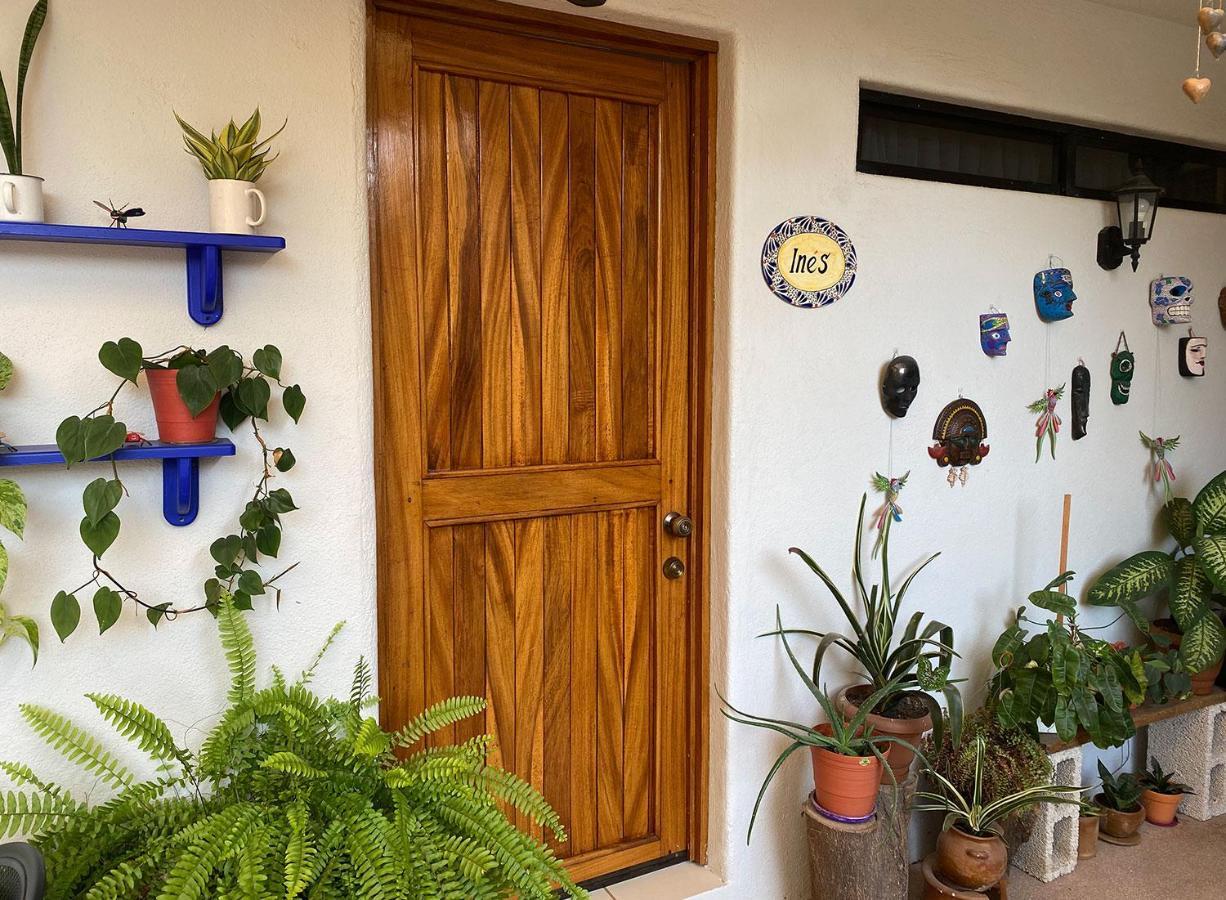 Zandoyo Bed & Breakfast Puerto Escondido  Buitenkant foto